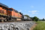 BNSF 6620 Roster shot.